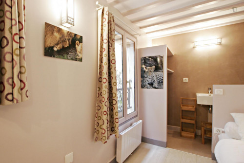 Cosy studio apartment near Arts et Métiers metro station - Gallery - 13
