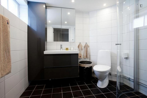 Large 2-bedroom apartment in Skår