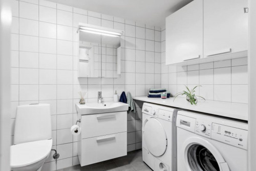 Beautiful 1-bedroom apartment near Bellevue