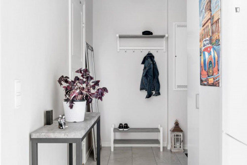Beautiful 1-bedroom apartment near Bellevue