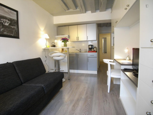 Lively studio near Conservatoire des Arts et Métiers  - Gallery -  5