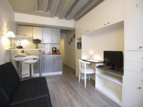 Lively studio near Conservatoire des Arts et Métiers