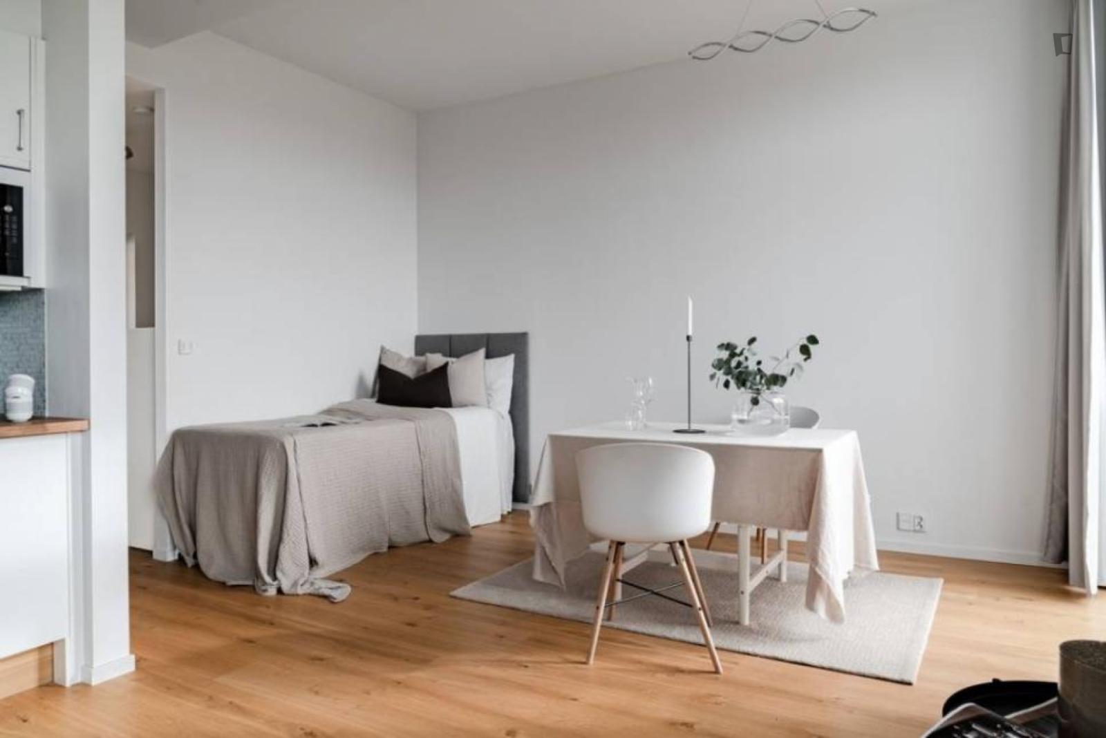 Bright Studio In Tågaborg - 1