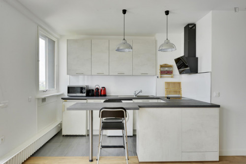 Alcove studio in Montparnasse, Double bed  - Gallery -  4