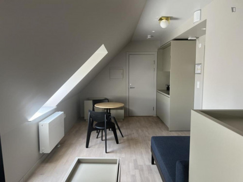 Cozy Studio at Malmö