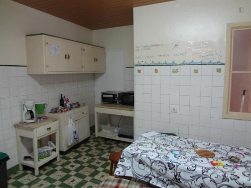 Single bedroom in 10-bedroom apartment - Gallery - 16