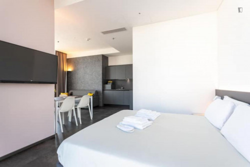 Modern 1-bedroom loft in Mestre