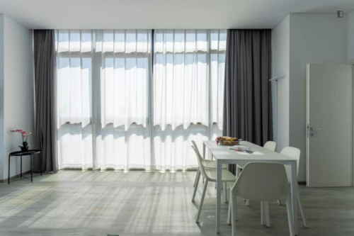 Bright 2-bedroom apartment in Mestre - Gallery - 14