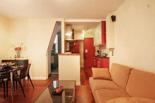 Glamorous 1-bedroom apartment near Place de la Bastille - Gallery - 8