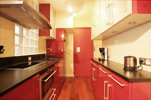 Glamorous 1-bedroom apartment near Place de la Bastille