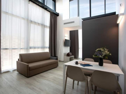 Modern and bright studio in Mestre