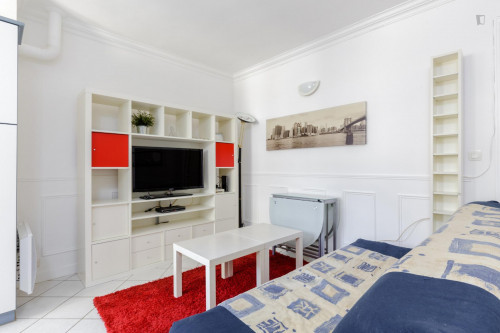 1-bedroom apartment, Rue Daguerre