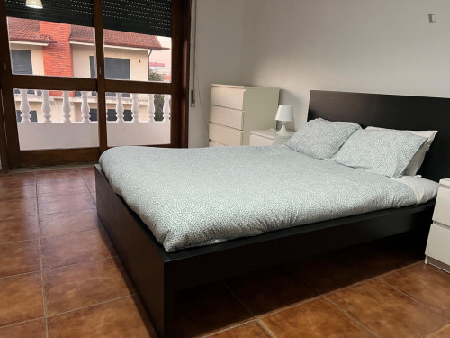 Nice and big room