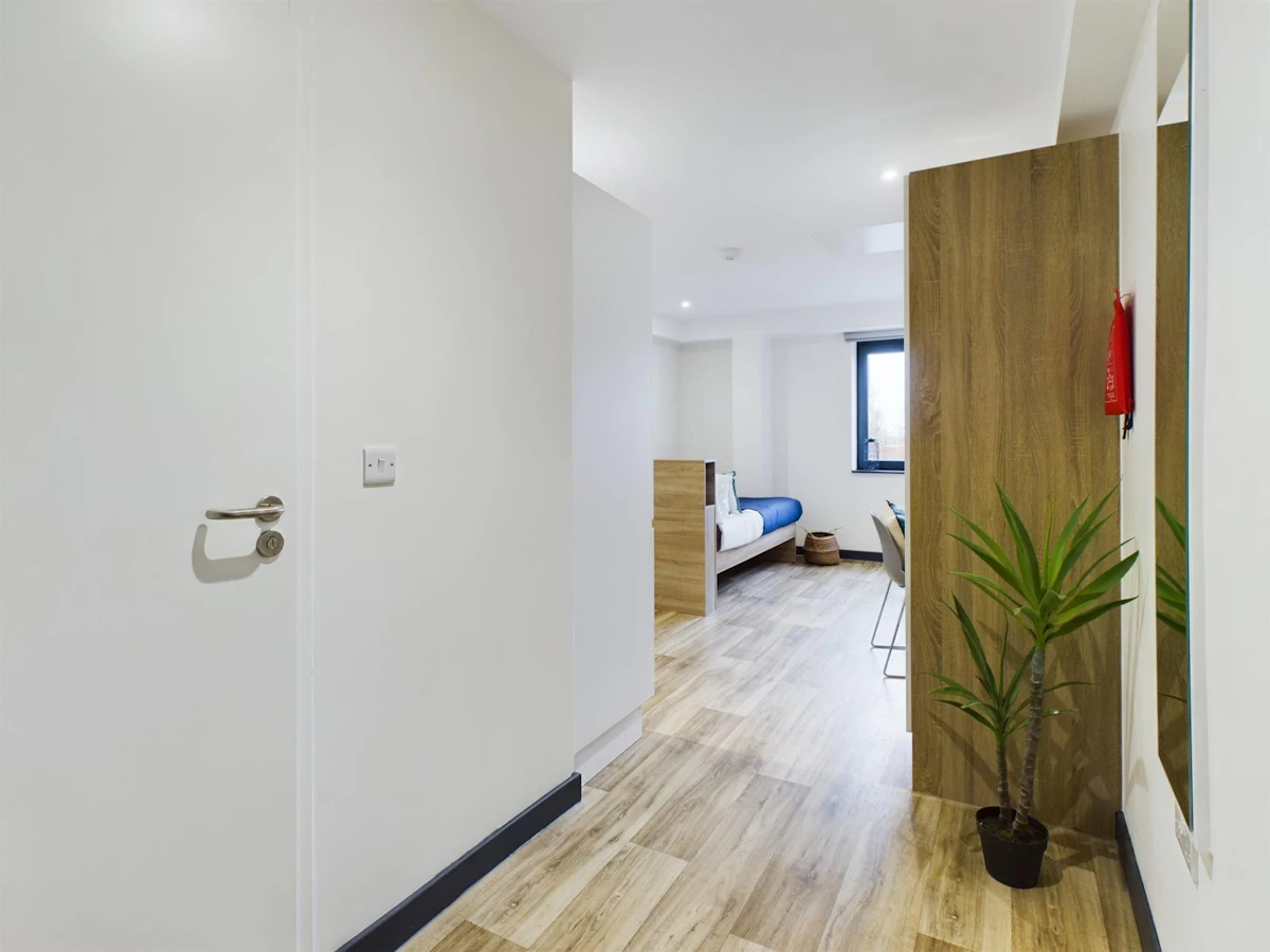 Gold Studio - Eden Square - Gallery - 4