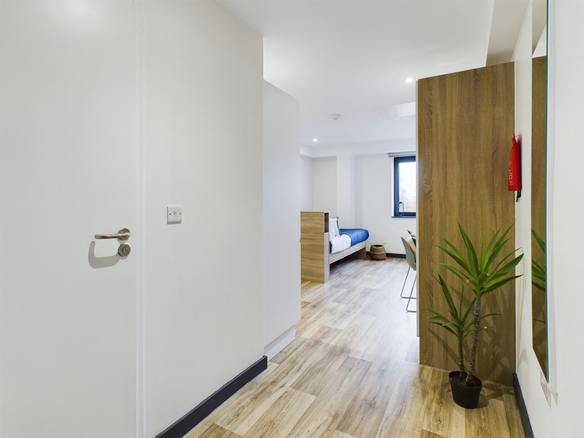 Gold Studio - Eden Square - Gallery - 9