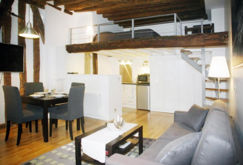 Open-plan studio in the heart of Paris