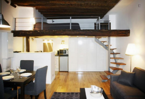 Open-plan studio in the heart of Paris