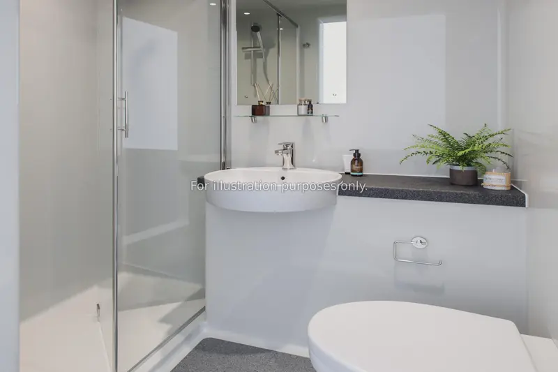 Classic Studio  -  Arcadian  - Gallery -  2