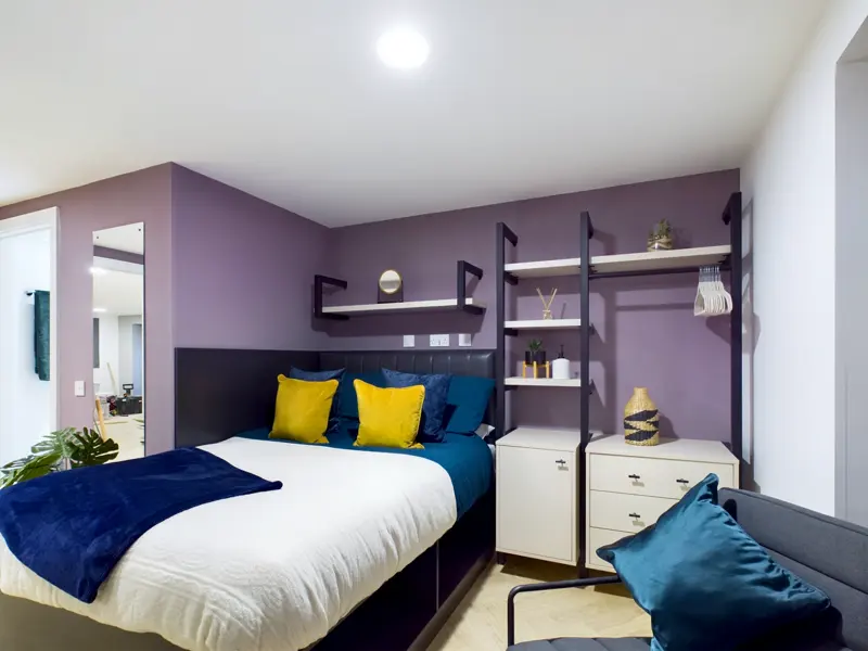  Classic Studio  -  Arcadian  - Gallery -  1