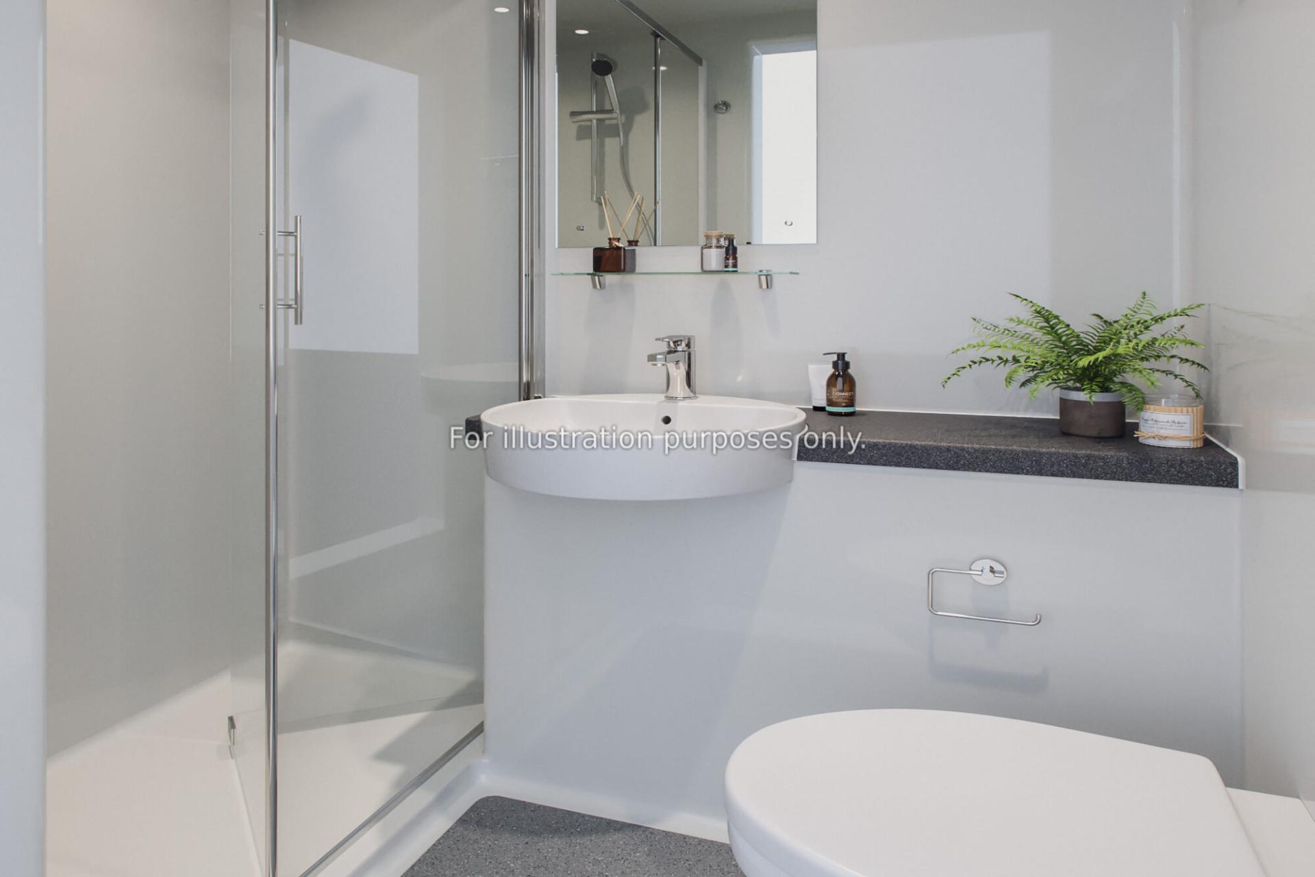  Classic Studio  -  Arcadian  - Gallery -  10