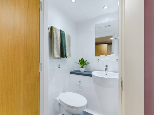  Premium Studio  -  Arcadian  - Gallery -  3