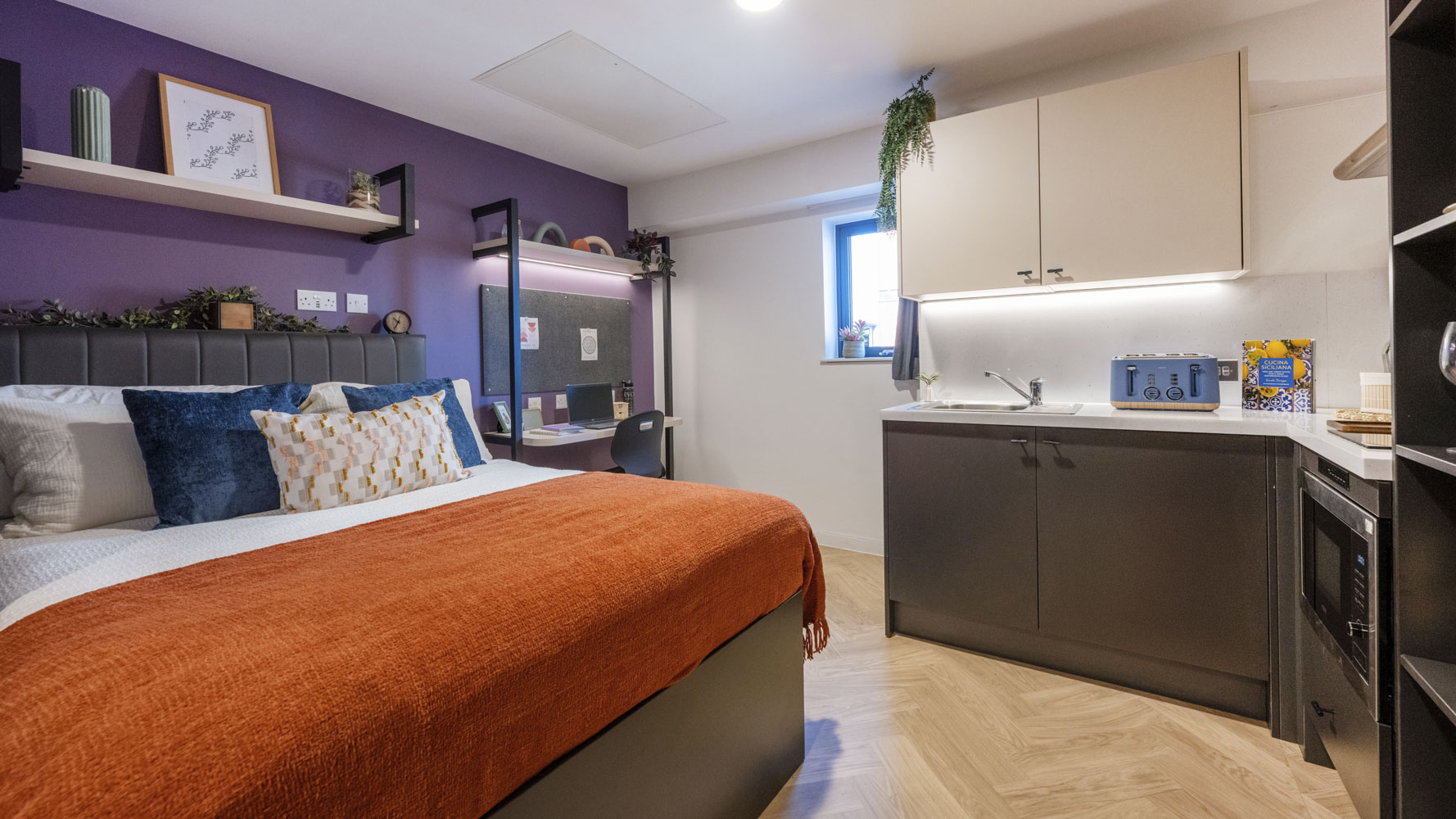  Platinum Studio  -  Arcadian  - Gallery -  1
