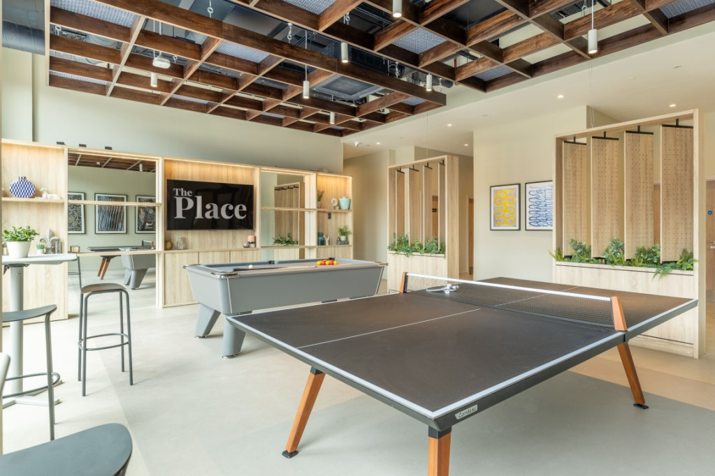 The Place