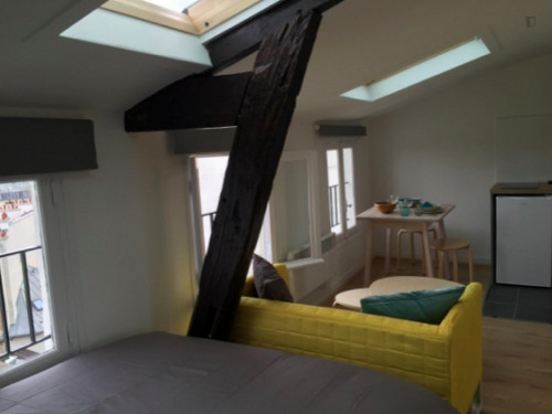 Charming studio with amazing view of Paris and Eiffel tower