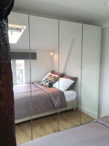 Charming studio with amazing view of Paris and Eiffel tower