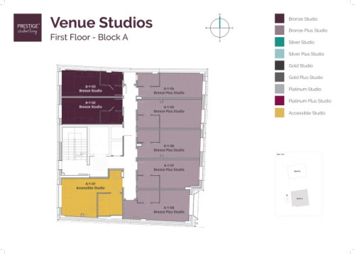 Venue Studios - Gallery - 24