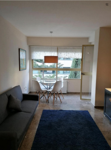 Charming 2-bedroom apartment in Quatre Carreres
