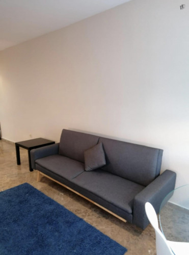 Charming 2-bedroom apartment in Quatre Carreres