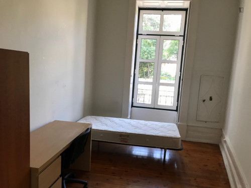 Sunny single bedroom