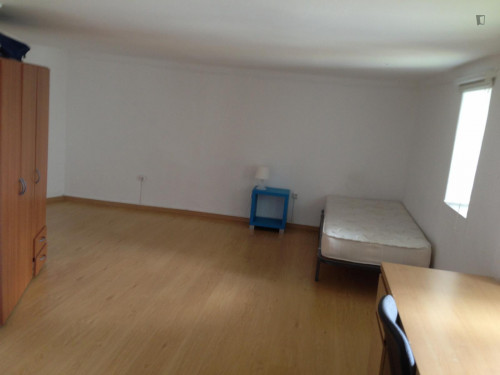 Comfy single bedroom in Covilhã