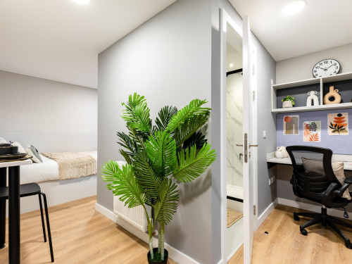 Clyde Court - Gallery - 44