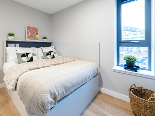 Clyde Court - Gallery - 60
