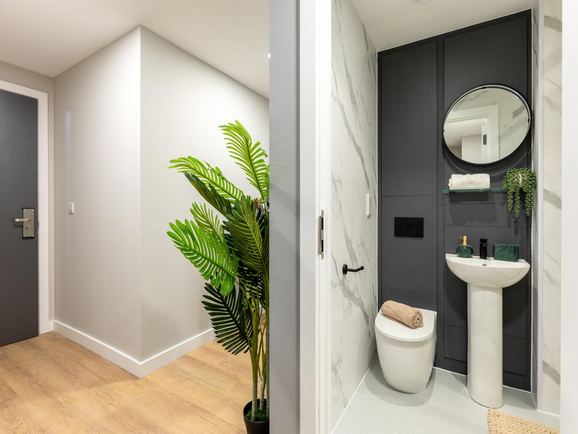  Premium Studio  -  Clyde Court  - Gallery -  18