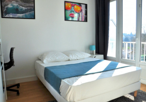 Nice double bedroom near Parc de La Gaudinière