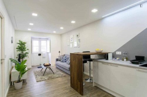Modern 1-bedroom apartment in Bairro Alto 