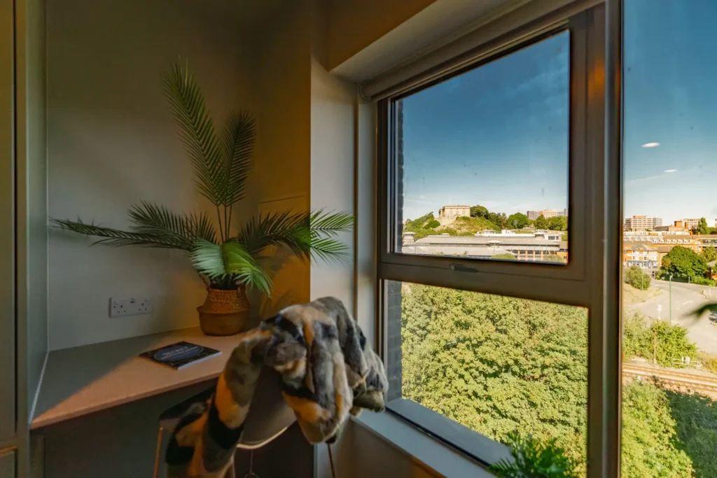 Platinum Studio - High Floor - 7