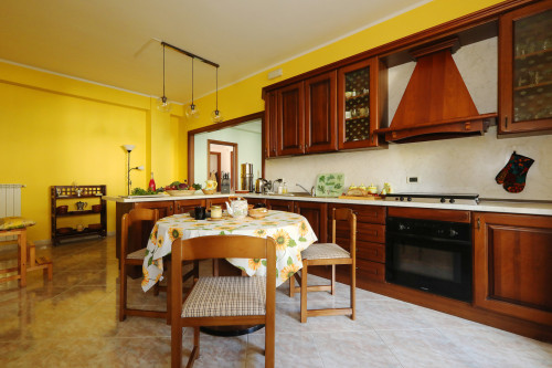Ariella Home - Gallery - 55