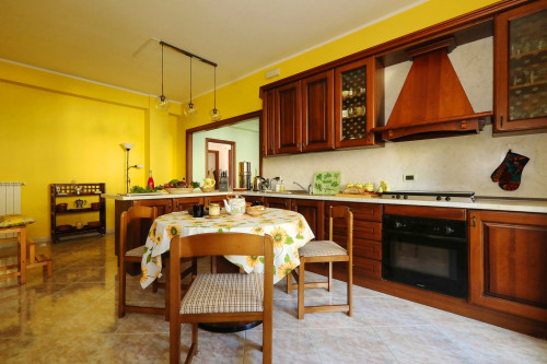 Ariella Home - Gallery - 31