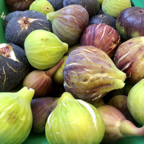 Gorgeous villa near Sentiero Frassati Roseto-Biccari