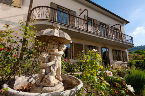 Ariella Home - Gallery - 26