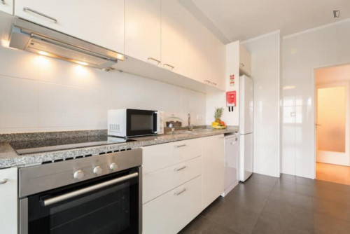 Very elegant 3-bedroom apartment near the Casa da Música metro - Gallery - 21
