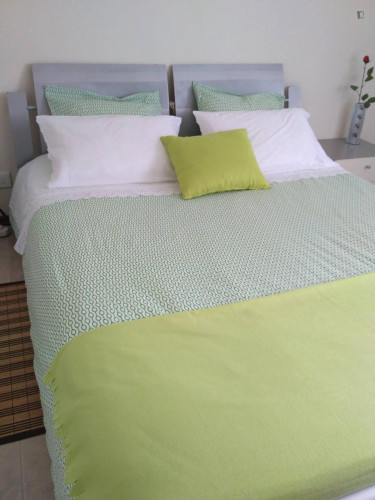 Lovely double bedroom next to Praia da Vagueira