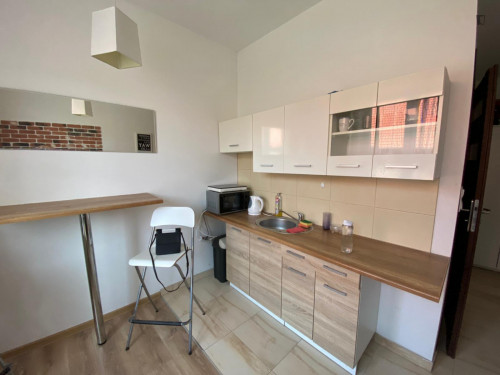 Cozy small studio flat located between Old Town and Nowy Kleparz - Gallery - 9