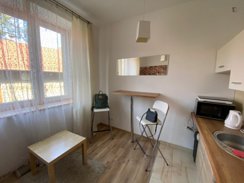 Cozy small studio flat located between Old Town and Nowy Kleparz - Gallery - 3