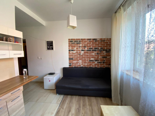 Cozy small studio flat located between Old Town and Nowy Kleparz - Gallery - 2