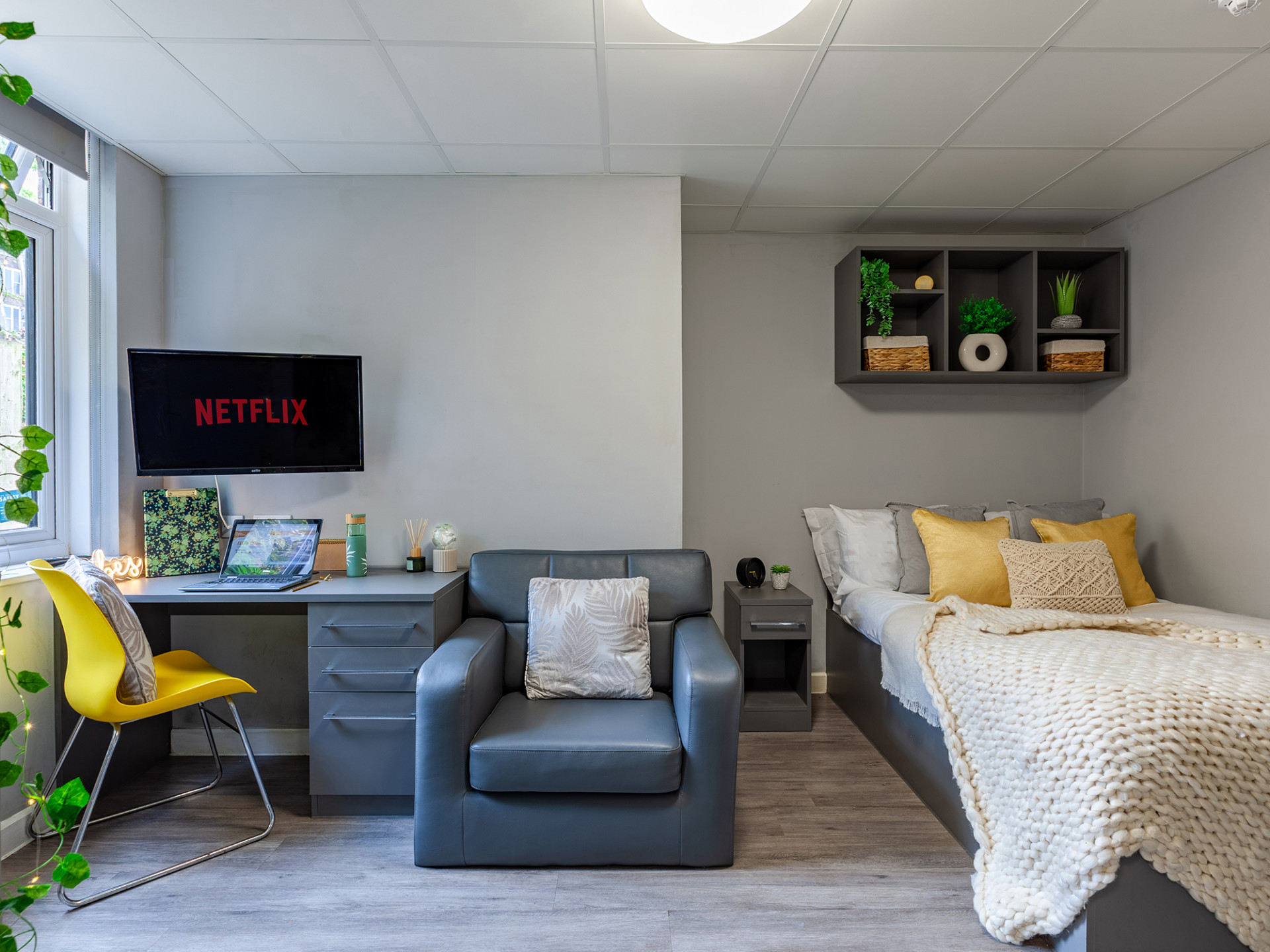  Luxury Studio  -  Allen Court  - Gallery -  8